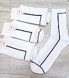 Шкарпетки з високою гумкою  ТМ Lomani р.40-44 білі, фото 2