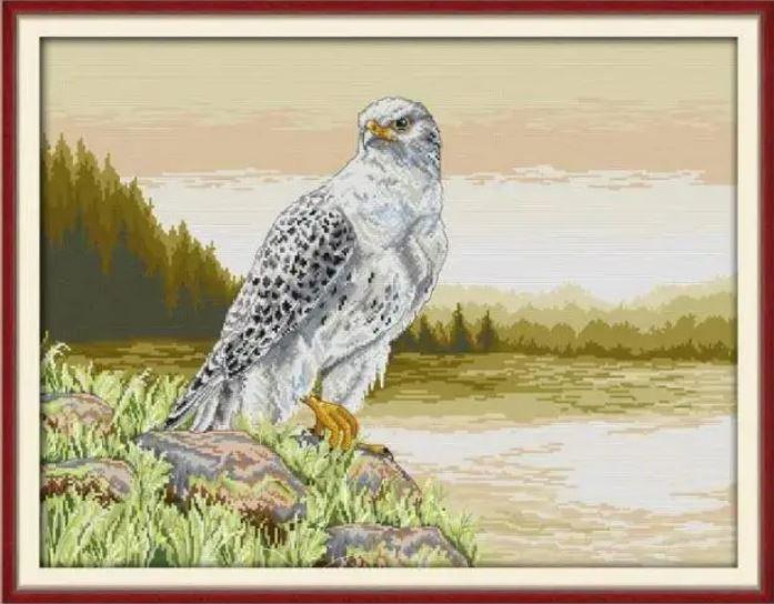 Набір для вишивання за нанесеною на канву схемою "Falcon".AIDA 14CT printed, 60*47 см