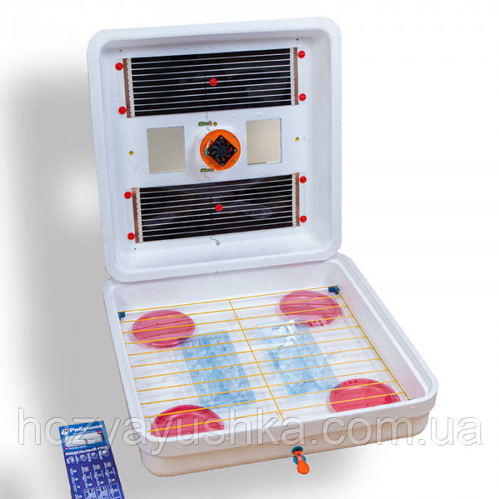 Інкубатор Жабочка Smart Turbo 150 яєць цифровий із механічним переворотом, фото 1