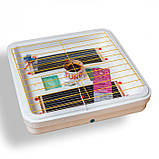 Інкубатор Жабочка Smart Turbo 150 яєць цифровий із механічним переворотом, фото 5