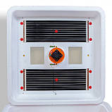 Інкубатор Жабочка Smart Turbo 150 яєць цифровий із механічним переворотом, фото 6