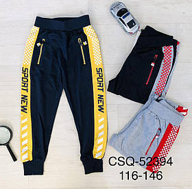 Спортивні штани для хлопчиків оптом, Seagull, 116-146 рр., арт. CSQ-52394