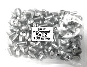 Гвинт меблевий з напівкруглою головкою пресшайбой 5х12 (уп.100шт)