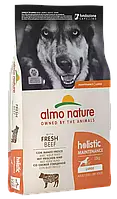 Almo Nature Holistic сухой корм для взрослых собак больших пород ГОВЯДИНА,12кг