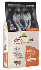 Almo Nature Holistic сухий корм для дорослих собак великих порід ЯЛОВИЧИНА,12кг