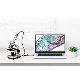 Мікроскоп Bresser Junior 40x-1024x USB HD Camera (8855001), фото 8