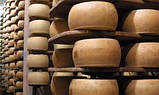 Сир Parmigiano Reggiano DOP витримка 12 місяців 300 грам Італія, фото 5