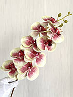 Штучна орхідея фаленопсис 3 D ( 107 см), фото 5