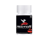 Hector (Хектор) - капсулы для набора мышечной массы