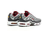 Кросівки чоловічі Air Max Tn+ Plus срібло Київ, фото 4