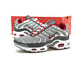 Кросівки чоловічі Air Max Tn+ Plus срібло Київ, фото 7