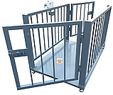 Ваги для тварин 1.25х0.75м 1500кг з обрешіткою 900мм VTP-G 12575 Keli-T1, фото 3