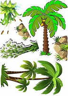 Вафельная картинка Пальмы А4 (p1474)