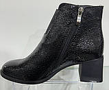 Черевики великого розміру шкіряні від виробника модель ТН24-201Б-1, фото 6