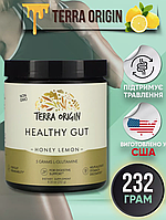 Terra Origin Healthy Gut, 243 г, добавка для нормализации функций желудочно-кишечного тракта, вкус мед, лимон