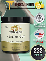 Terra Origin Healthy Gut, 243 г, домішка для нормалізації функцій шлунково-кишкового тракту, смак мед, лимон