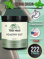 Terra Origin Healthy Gut, 243 г, домішка для нормалізації функцій шлунково-кишкового тракту, смак м'яти