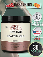 Terra Origin Healthy Gut, 243 г, домішка для нормалізації функцій шлунково-кишкового тракту, смак ягід