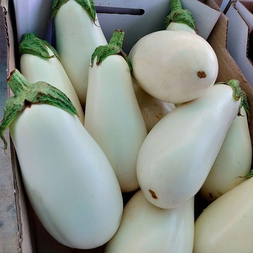 Насіння баклажану Смак грибів (0,25г), фото 1