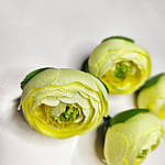 Бутон ранункулюсу жовтий 4 см, фото 2