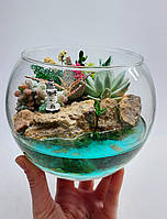 Круглый флорариум с суккулентами Маячок диаметр 15 см Круглый стеклянный флорариум Стильный подарок