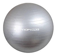 Мяч для фитнеса (фитбол) Profit 65 см, М 0276 gray