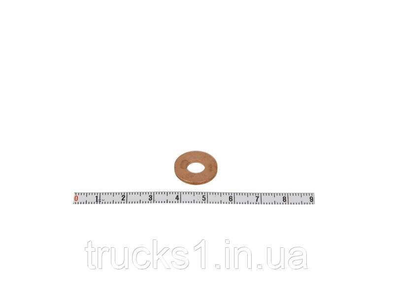 Шайба (ціна за 10шт DAF) DEL7200-0087X10 (DELPHI)
