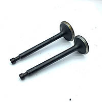 Клапани двигуна GX177F (комплект) (CH)