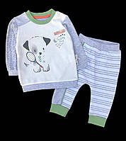 Костюм 2в1: реглан, штани "Dog" ТМ "Caramell" (74 см) (Реглан або світшот і штани)