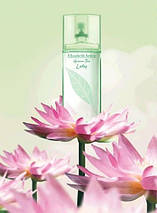 Elizabeth Arden Green Tea парфумована вода 50 ml. (Елізабет Арден Грін Тіа), фото 3
