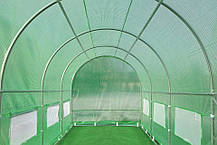 Теплиця садова, парник Focus Garden 3x6x2 м (подвійні двері) зелена, фото 6