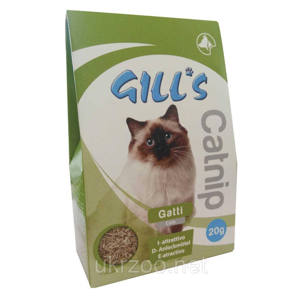 Сушена котяча м'ята для підвищення грайливості кішок Croci Gill's 20 г, фото 1