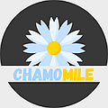 Интернет-магазин «CHAMOMILE»