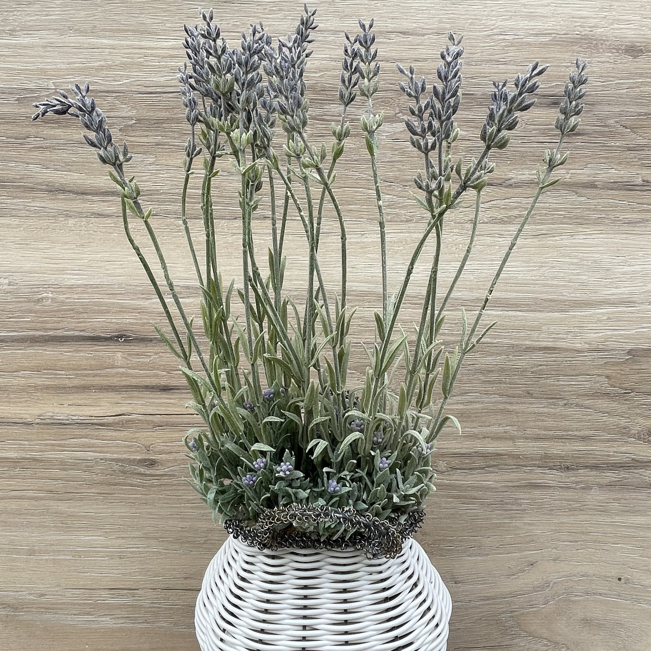 Зв'язка лаванда периста 35 см., фото 1