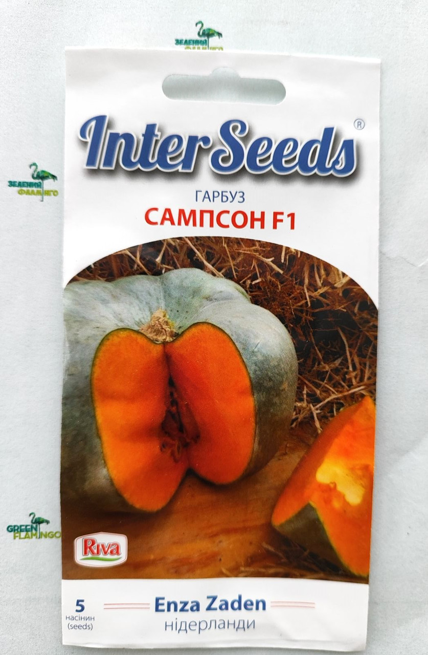 Насіння Гарбуз Сампсон F1 | Sampson, 5шт, Enza Zaden (Нідерланди)