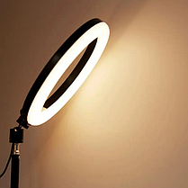 Професійна кільцева LED лампа RL-21 54 см з пультом чохлом та тримачами 70 W, фото 4