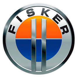 Килимки в салон Fisker