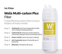 Сменный фильтр Wells Multi Carbon Plus для корейских фильтрующих систем Wells Kyowon