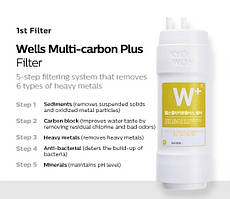 Змінний фільтр Wells Multi Carbon Plus для корейських фільтруючих систем Wells Kyowon