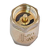 Клапан зворотній (латунь) Waterpro WP300-15 - 1/2" (WP3307), фото 2