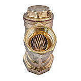 Фільтр грубої очистки з вушком (латунь) Waterpro WP200-20 - 3/4" (WP3305), фото 2