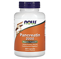 Панкреатин, Pancreatin, Now Foods, 10X 200 мг, 250 капсул (NOW-02946)