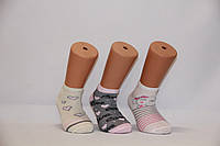 Детские носки средние с хлопка для малышей Стиль люкс 16-18 собачка,сердечка
