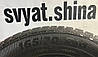 Шини зимові 165/70R14 Platin RP50 Winner, фото 6
