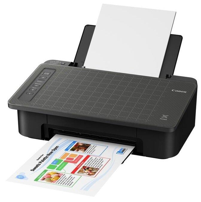 Принтер Canon PIXMA TS305 (2321C006)
