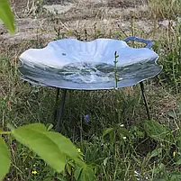 Сковорода з диска борони на природу 65 см Сковорода з диска борони для багаття туристична Ромашка, фото 4