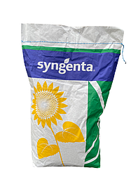 Насіння соняшнику СИ Честер SYNGENTA