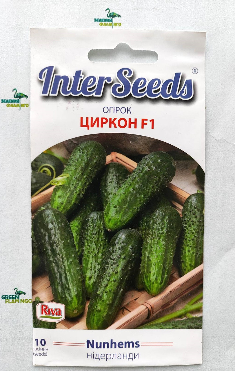Насіння Огірок Циркон F1, 10шт, Nunhems B.V.,  Нідерланди