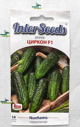 Насіння Огірок Циркон F1, 10шт, Nunhems B.V., Нідерланди, фото 1