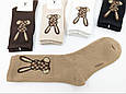 Жіночі демісезонні шкарпетки БРЕНД LV, бавовна. Розмір 36-41, 10 пар/уп. асорті кольорів, фото 3